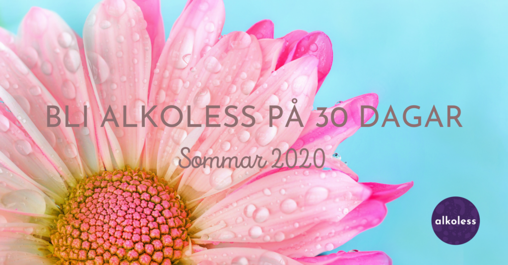 Bli alkoless